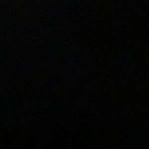 Meet your Posher, Gavin